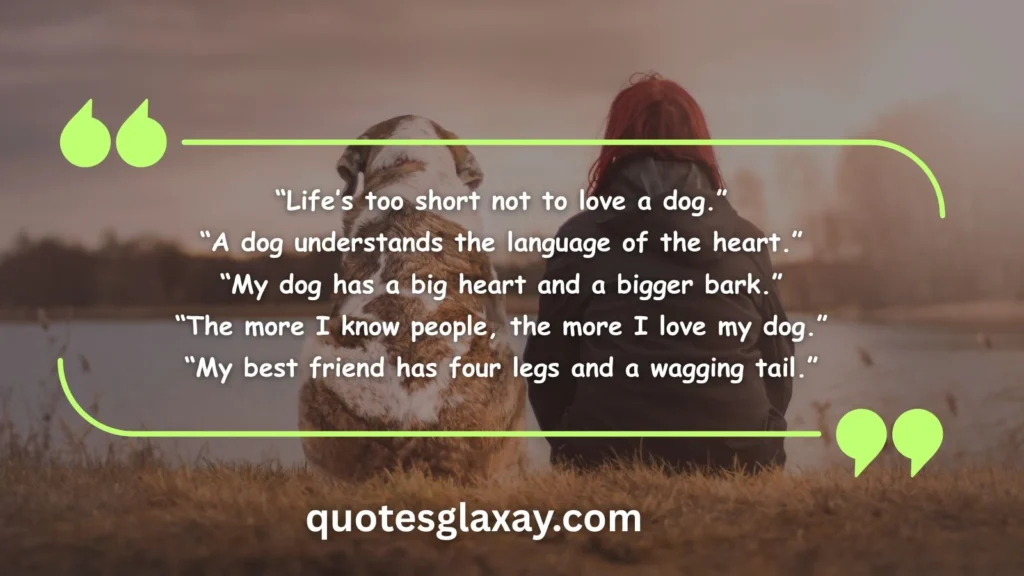 Best Friend Dog Quotes