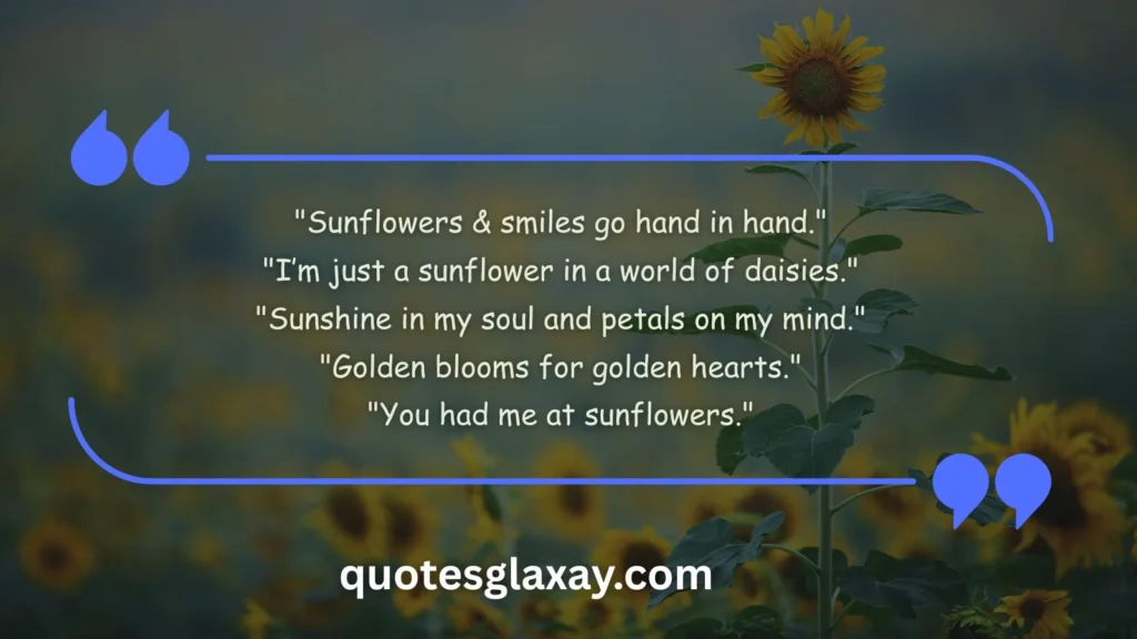 Cute Sunflower Quotes for Instagram