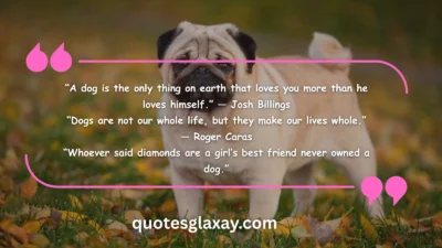 Dog Quotes for Instagram