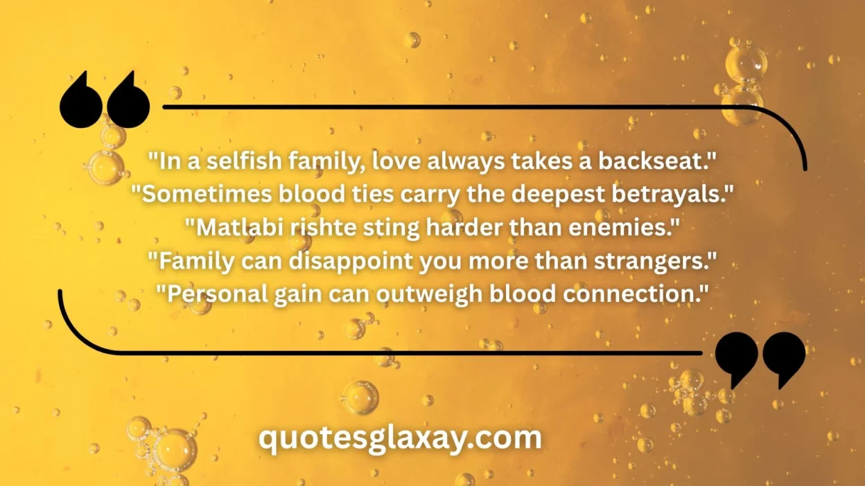 Family Matlabi Rishte Quotes