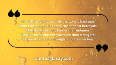 Family Matlabi Rishte Quotes
