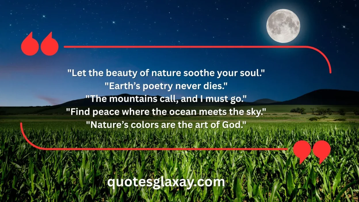 Nature Lover Quotes
