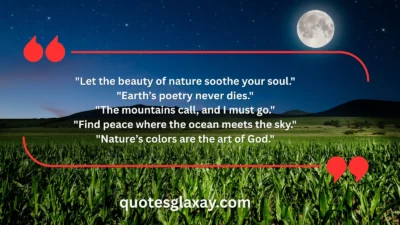 Nature Lover Quotes