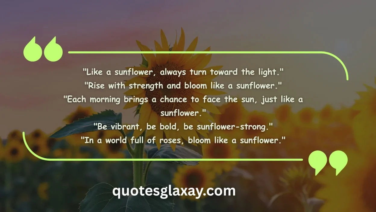 Sunflower Quotes