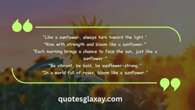 Sunflower Quotes